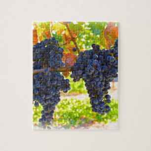 Wijndruiven Legpuzzel