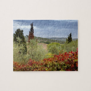 Wijngaard bij Montalcino, Toscane, Italië Legpuzzel