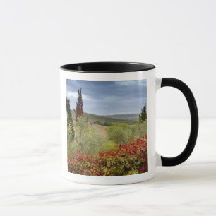 Wijngaard bij Montalcino, Toscane, Italië Mok