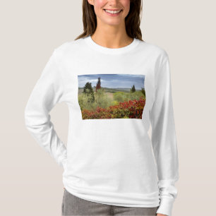 Wijngaard bij Montalcino, Toscane, Italië T-shirt