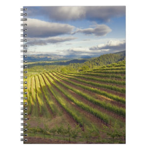 Wijngaard. Napa Valley. Napa. Napa County, Notitieboek