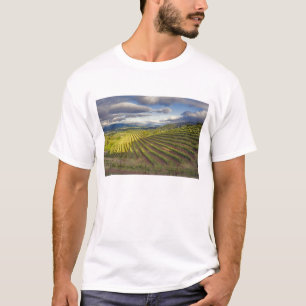 Wijngaard. Napa Valley. Napa. Napa County, T-shirt