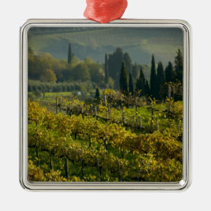 Wijngaard, Toscane, Italië Metalen Ornament