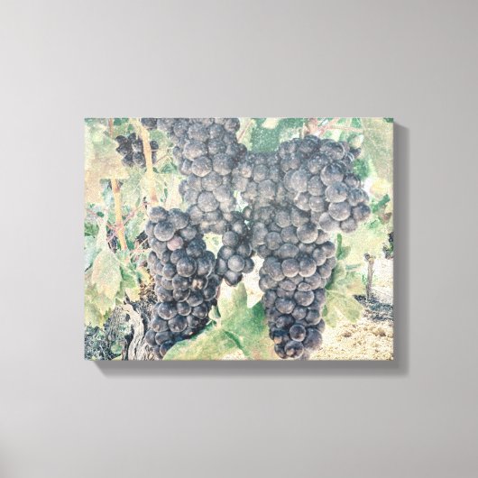 *~* Wijngaard Wijnmakerij Druivencluster AR21 Wijn Canvas Afdruk (Voorkant)