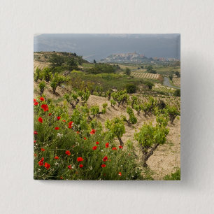 Wijngaarden bij Laguardia, hoofdstad van La Rioja Vierkante Button 5,1 Cm