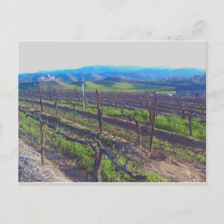 wijngaarden briefkaart