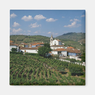 Wijngaarden, dorp San Miguel, Douro Magneet