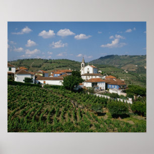 Wijngaarden, dorp San Miguel, Douro Poster
