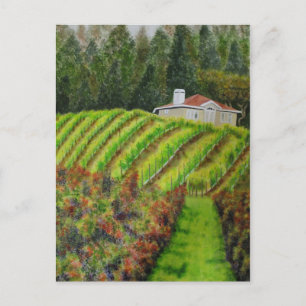 Wijngaarden in Healdsburg, CA Waterverf Post Kaart