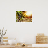 Wijngaarden op zonsondergang poster (Keuken)