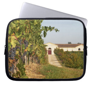 Wijngaarden, petit verdot wijnstokken en de wijnga laptop sleeve