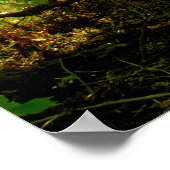 wijngaarden poster (Hoek)