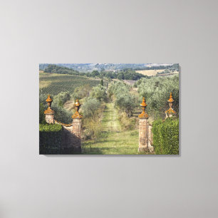 Wijngaarden, Toscane, Italië Canvas Afdruk