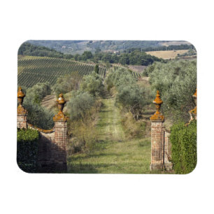 Wijngaarden, Toscane, Italië Magneet