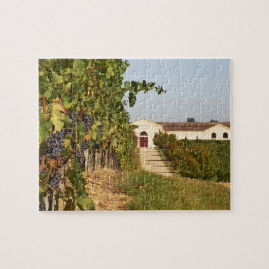 Wijngaarden, wijnstokrassen en wijngaarden legpuzzel (Horizontaal)