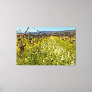 Wijnland Lente Canvas Afdruk