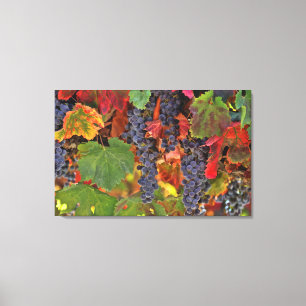 Wijnland Triptych 3-panelcanvas kunstwijnbouw Canvas Afdruk
