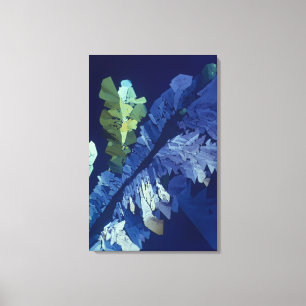 Wijnsteenzuur Crystals 2 Canvas Afdruk