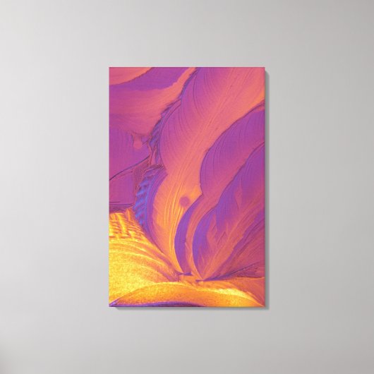 Wijnsteenzuur Crystals Canvas Afdruk (Voorkant)