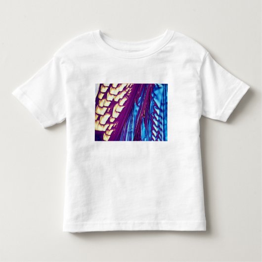 Wijnsteenzuur Crystals Kinder Shirts (Voorkant)