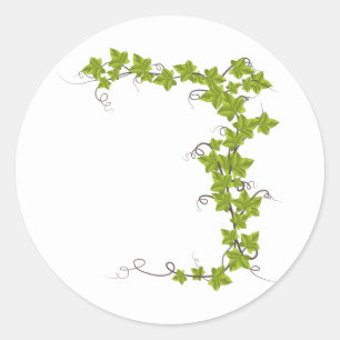 Wijnstok, groene bladeren ronde sticker
