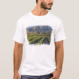 Wijnstokken van Cabernet Sauvignon in Huailai Rong T-shirt