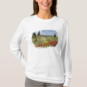 Wijntuin bij Montalcino, Toscane, Italië T-shirt