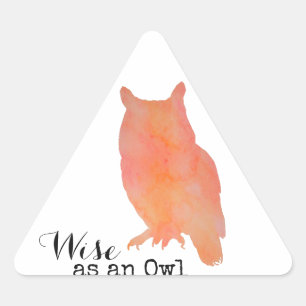 Wijs als een Uil Typografische Waterverf Driehoek Sticker