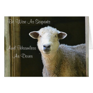 Wijs als slangen schapen