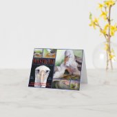 WIJSHEID Notecards Kaart (Gele Bloem)