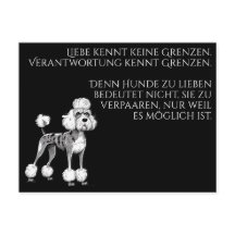 Wijze moderne Dog