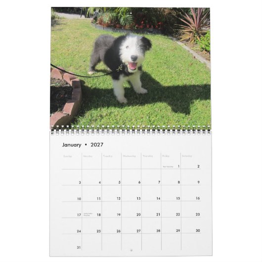 Wijziging puppies 2012 juni kalender (Jan 2027)