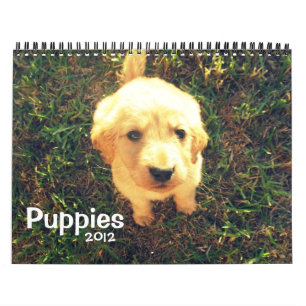 Wijziging puppies 2012 juni kalender
