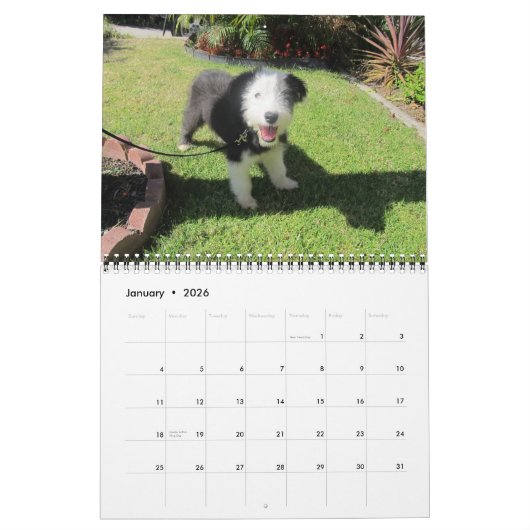 Wijziging puppies 2012 juni kalender (Jan 2026)