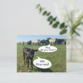 Wijziging van adres We hebben de Koe bepleit Briefkaart (Staand voorkant)