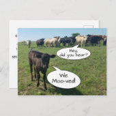 Wijziging van adres We hebben de Koe bepleit Briefkaart (Voorkant / Achterkant)