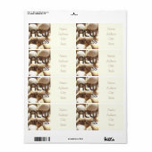 Wijziging van het adres van de zomerschalen Funny  Etiket (Full Sheet)