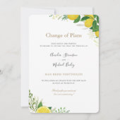 Wijziging van plannen Uitgestelde trouwuitnodiging Aankondiging (Voorkant)