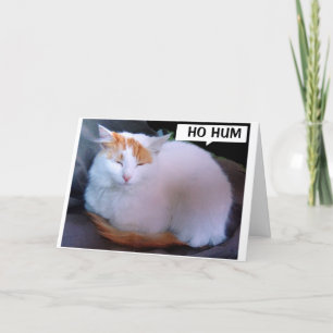 WIL DAT IK DIT KAN ZEGGEN IN PERSOON Happy Birthda Feestdagen Kaart