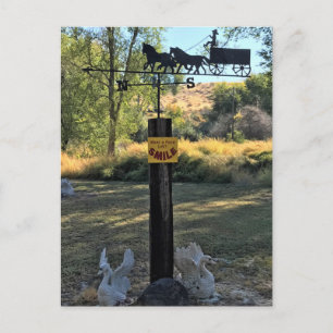 Wil een Facelift, een glimlach, een grappig teken Briefkaart