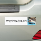 Wil je een egel? bumpersticker (Op auto)