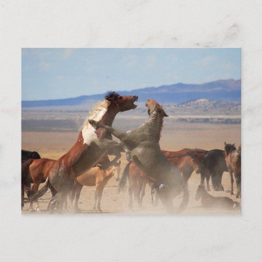 Wil je een stuk van mij? briefkaart (Voorkant)