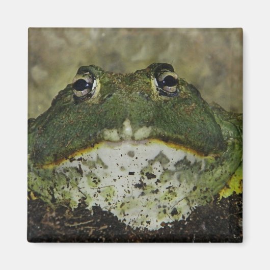 Wil je even afvlakken? magneet (Voorkant)