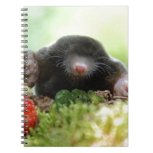 Wil je met me trouwen? notitieboek