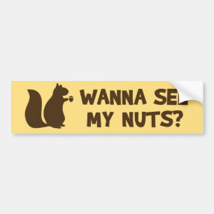 Wil je mijn noten zien? - Grappige eekhoornliefheb Bumpersticker