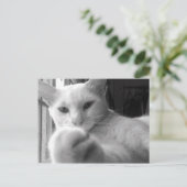 "Wil je mijn pag?" Briefkaart (Staand voorkant)