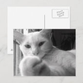 "Wil je mijn pag?" Briefkaart (Voorkant / Achterkant)