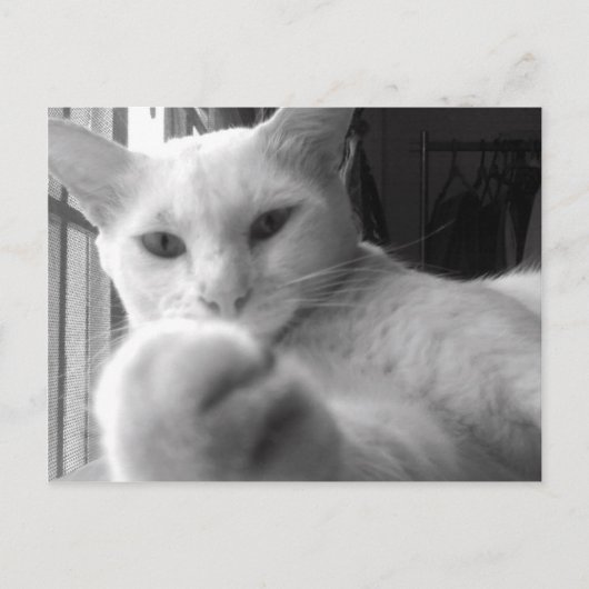 "Wil je mijn pag?" Briefkaart (Voorkant)