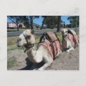 Wil je naar een Ride? Briefkaart (Voorkant)