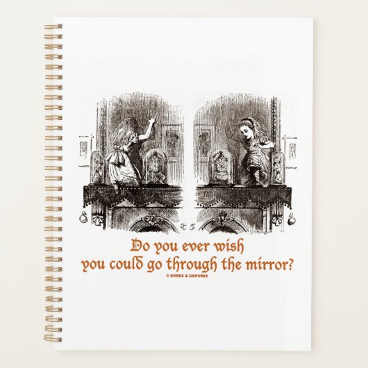 Wil je ooit dat je door de spiegel kunt gaan? planner (Voorkant)